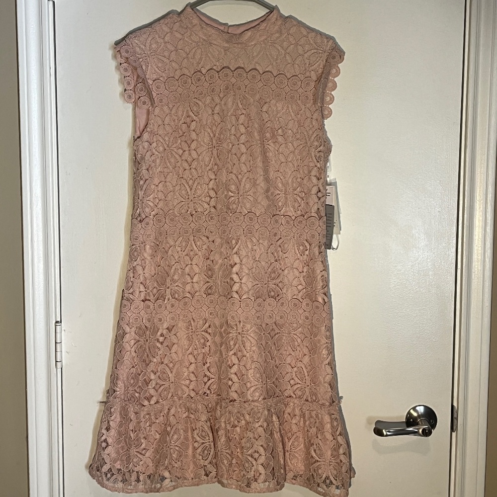 Julia Jordan Pink Lace Dress